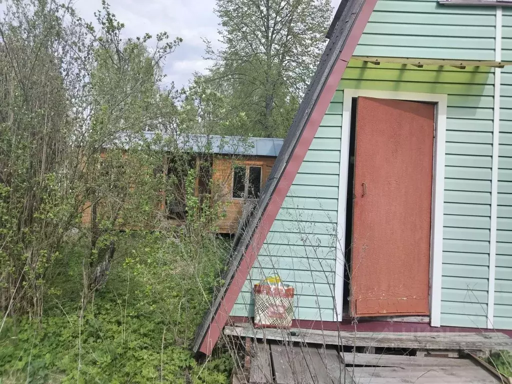 Дом в Московская область, Орехово-Зуевский городской округ, Лесные ... - Фото 1