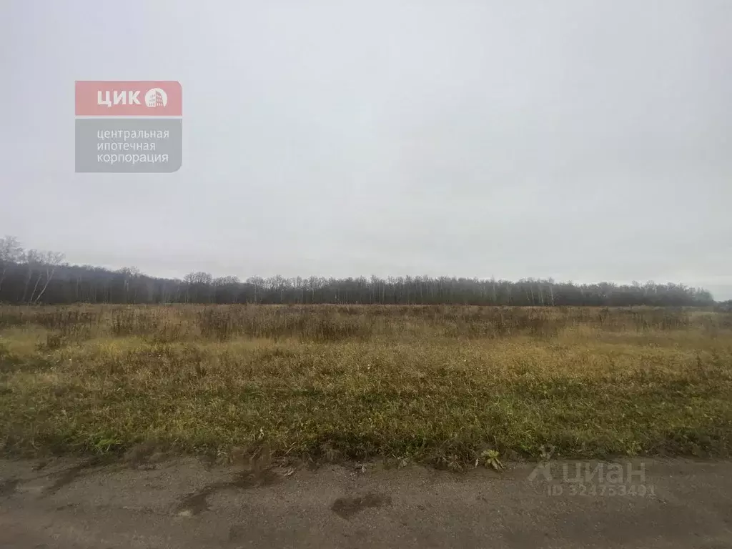 Участок в Рязанская область, Рыбновский муниципальный округ, д. ... - Фото 1