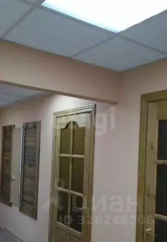 2-к кв. Коми, Сыктывкар Чит мкр, 115 (50.0 м) - Фото 2