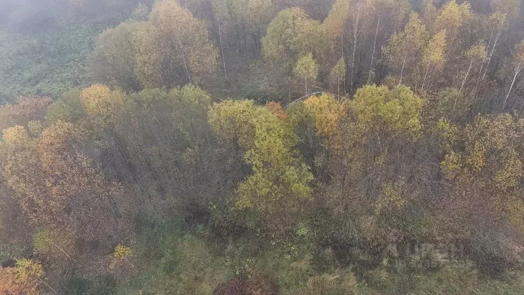 Участок в Московская область, Волоколамский муниципальный округ, д. ... - Фото 2