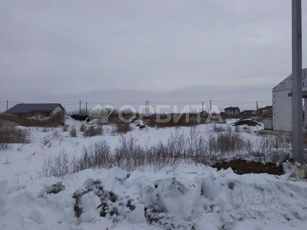 Участок в Тюменская область, Тюменский район, с. Мальково Новая ул., ... - Фото 1