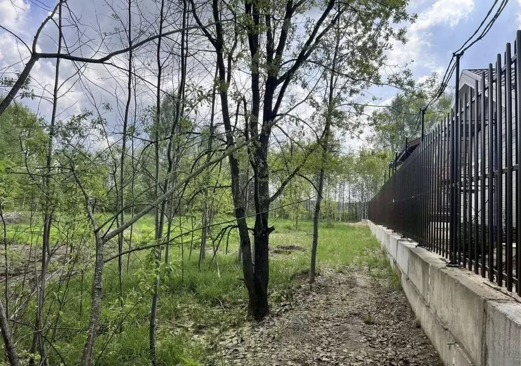 Участок в Московская область, Богородский городской округ, д. ... - Фото 2