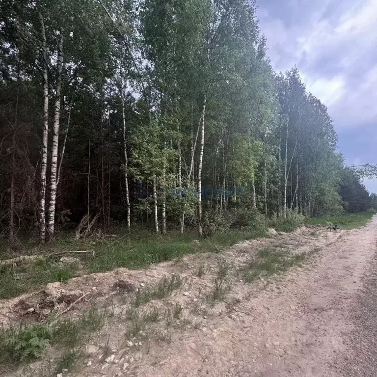 Участок в Нижегородская область, Богородский муниципальный округ, д. ... - Фото 1