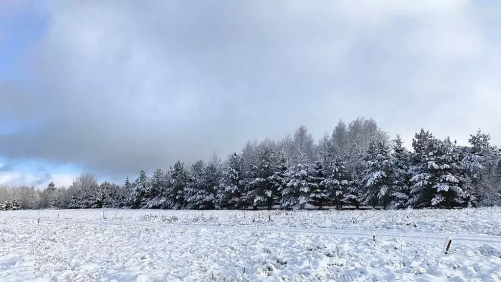 Участок в Московская область, Дмитровский муниципальный округ, д. ... - Фото 2