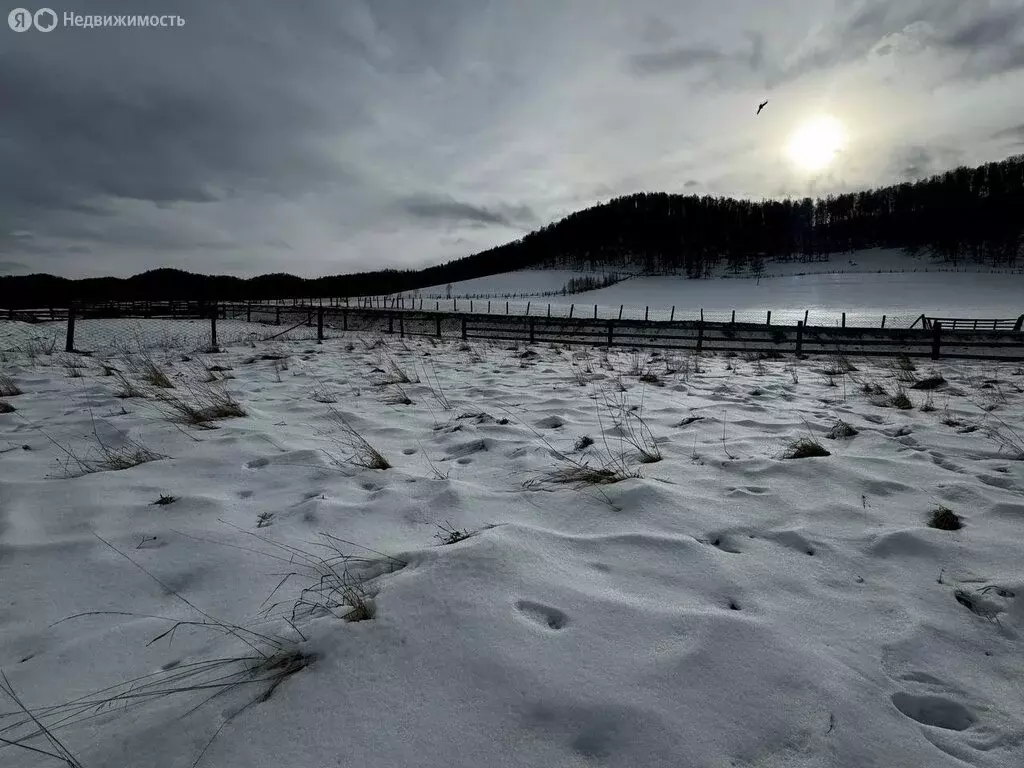 Дом в село Шебалино, Советская улица (28 м) - Фото 1
