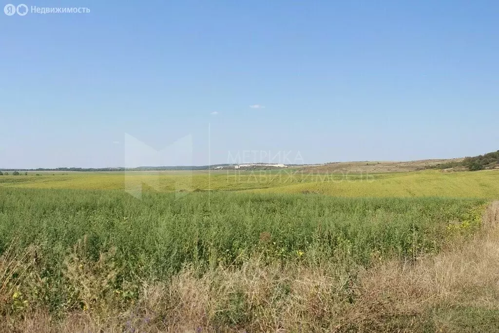 Участок в Тюмень, садовое товарищество Яровское, Флотская улица (12 м) - Фото 0