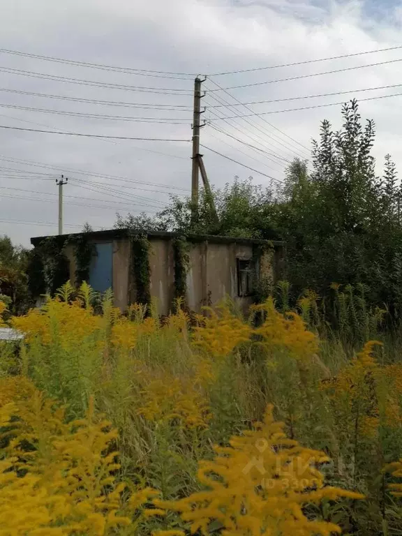 Дом в Новгородская область, Новгородский муниципальный район, ... - Фото 1