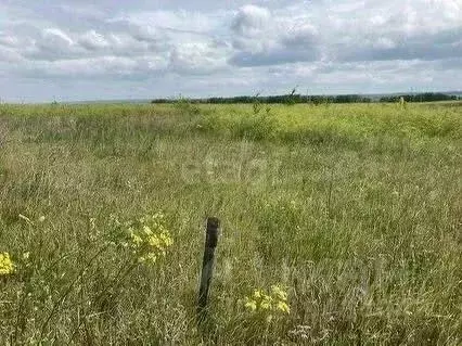 Участок в Ульяновская область, Чердаклинский район, Белоярское с/пос, ... - Фото 1