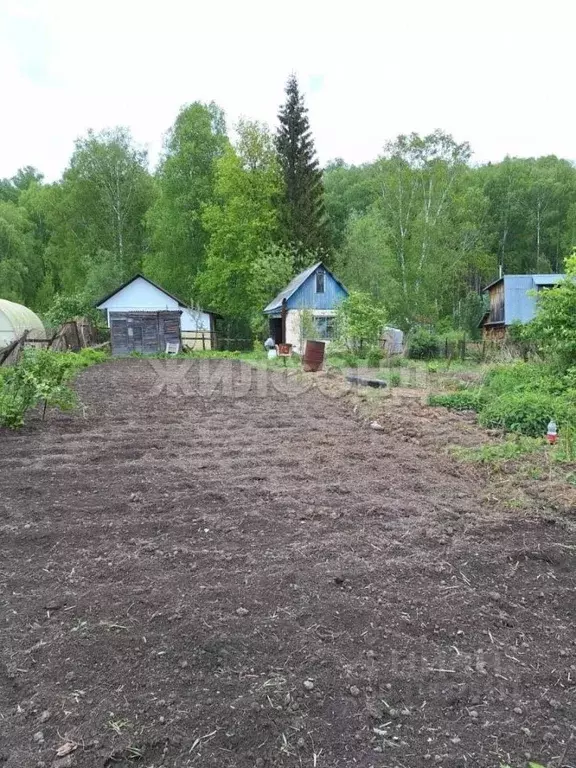 Дом в Новосибирская область, Новосибирский район, Барышевский ... - Фото 0