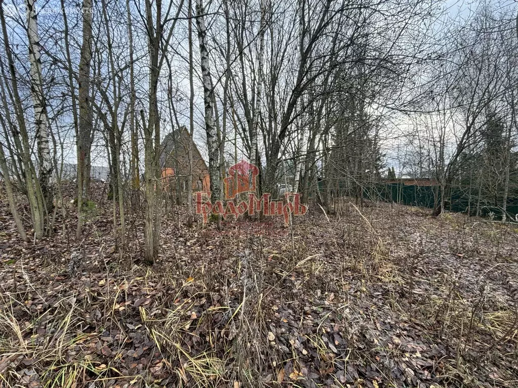 Участок в Сергиево-Посадский городской округ, деревня Новоподушкино (6 ... - Фото 1