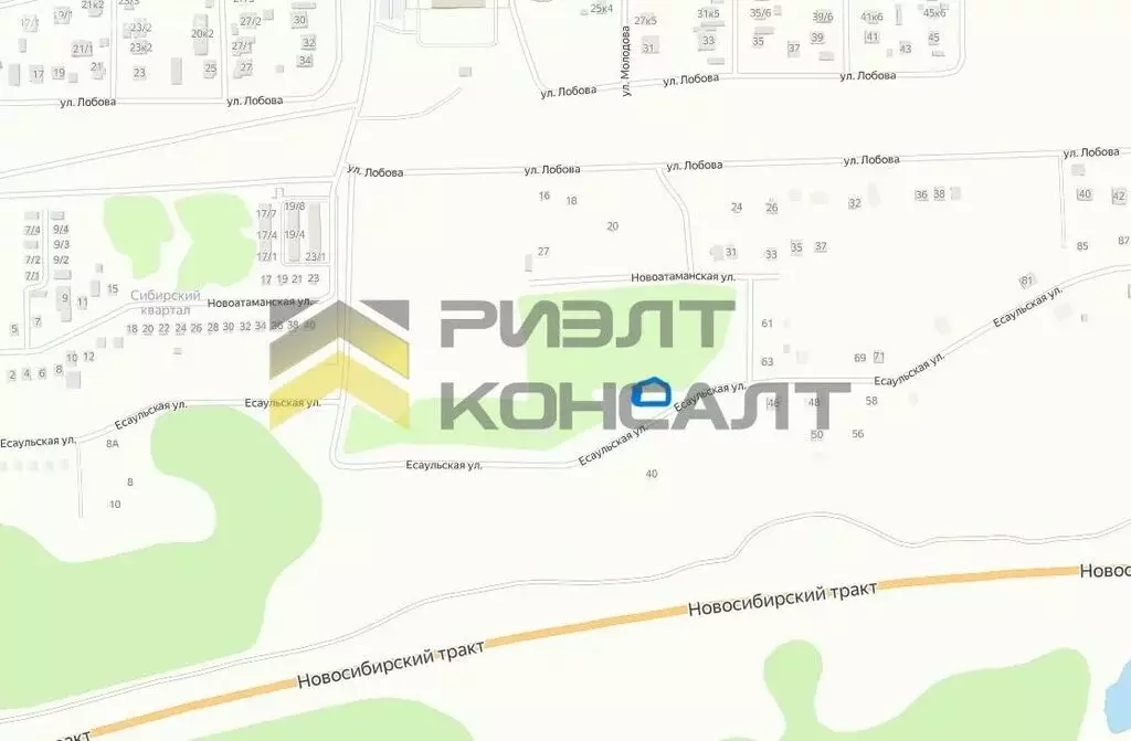 Участок в Омск, Есаульская улица (8 м) - Фото 1