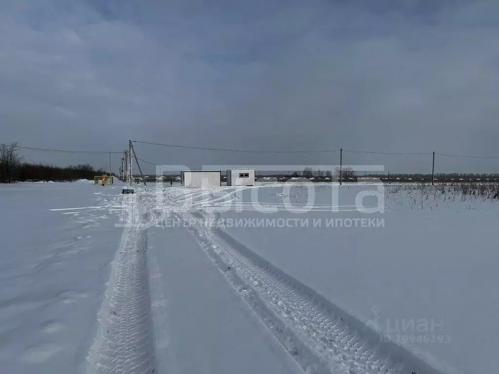 Участок в Воронежская область, с. Новая Усмань, Соловьиный мкр  (10.0 ... - Фото 0