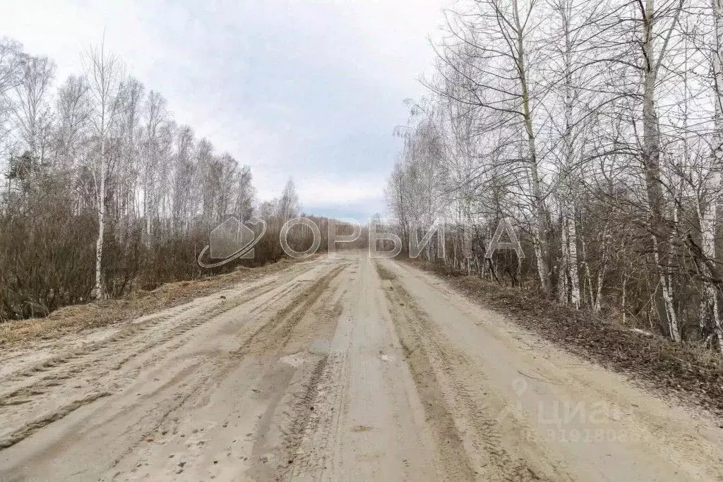 Участок в Тюменская область, Нижнетавдинский район, пос. Кунчур ул. ... - Фото 0