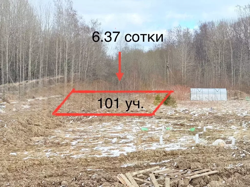 Участок в Ленинградская область, Ломоносовский район, Лопухинское ... - Фото 1