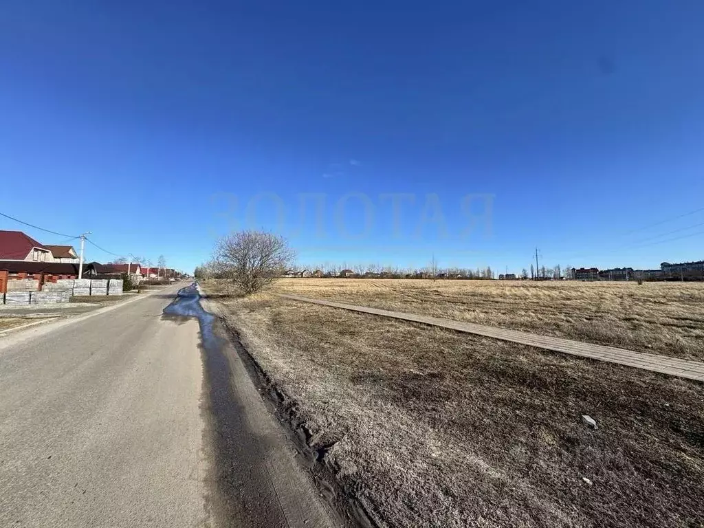 Участок в Белгородская область, Белгородский район, Разумное рп, ... - Фото 1