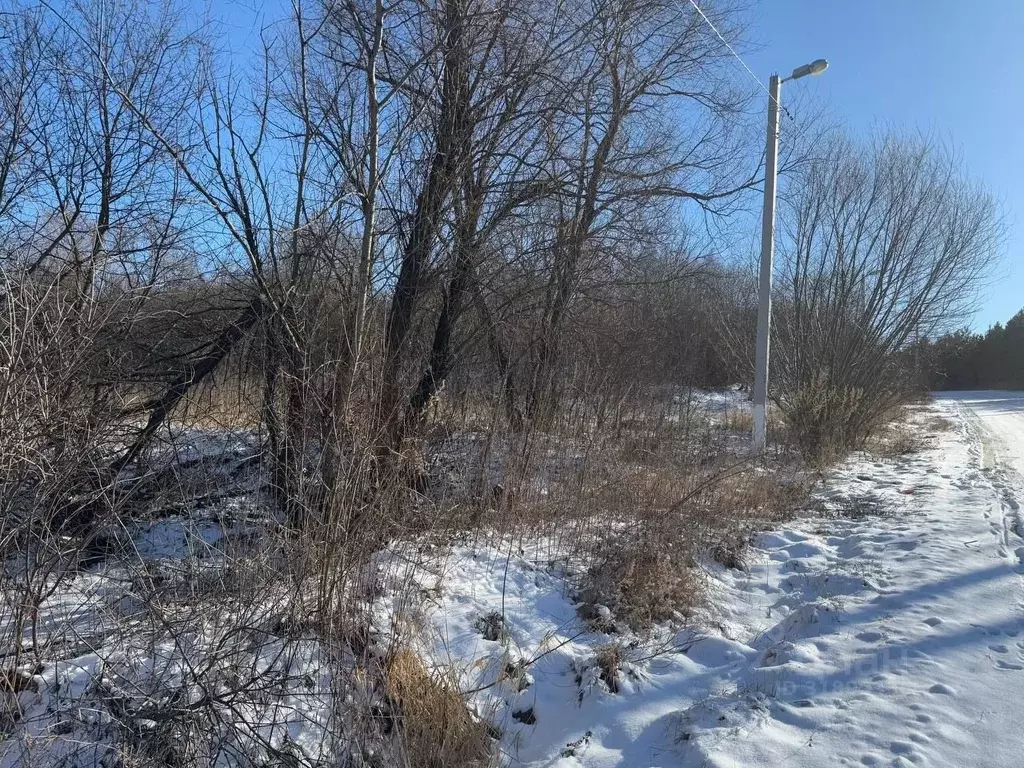 Участок в Московская область, Кашира городской округ, д. Колтово  ... - Фото 1