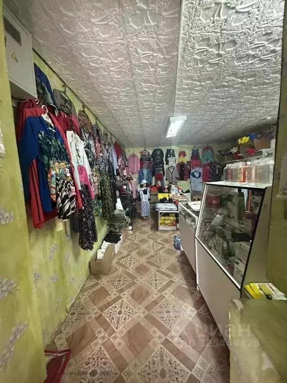 Помещение свободного назначения в Новосибирская область, Ордынский ... - Фото 2