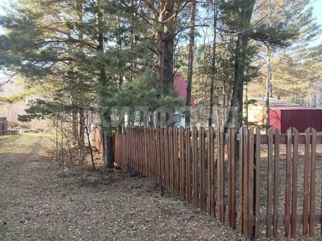 Дом в Новосибирская область, Колыванский район, с. Новотырышкино ... - Фото 1