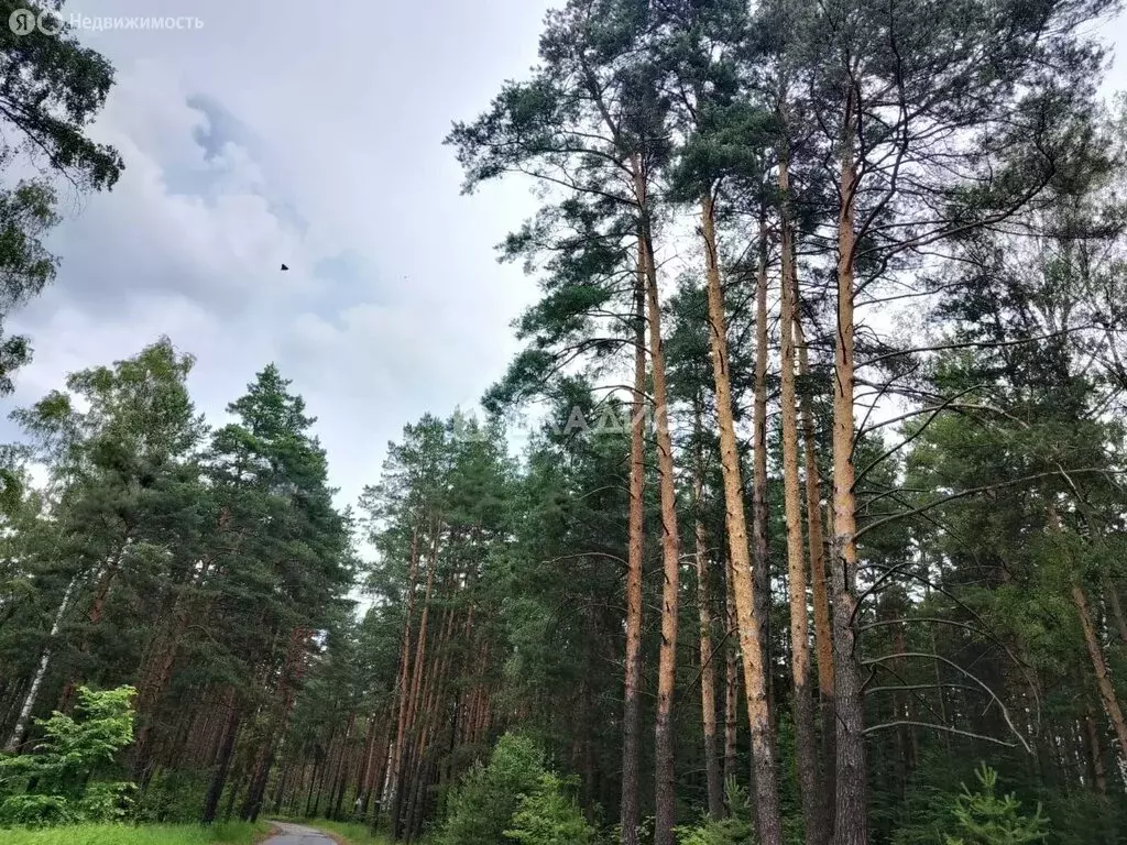 Участок в Петушинский район, муниципальное образование Пекшинское, ... - Фото 1