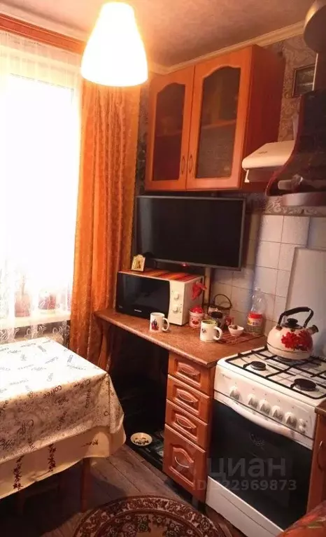 1-к кв. Брянская область, Брянск Дятьковская ул., 119 (31.8 м) - Фото 1