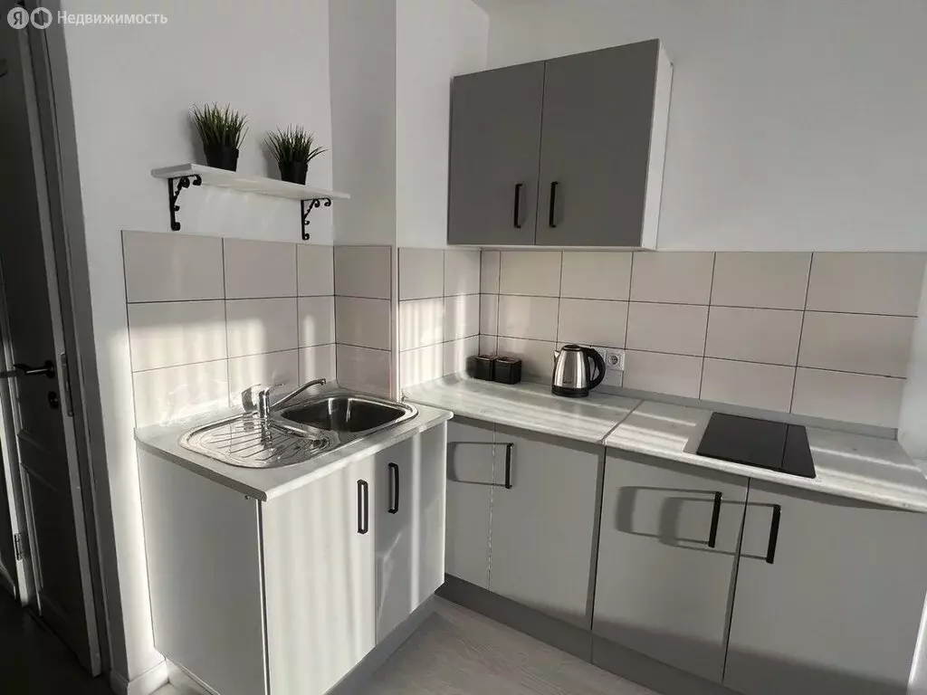 1-комнатная квартира: Санкт-Петербург, Наличная улица, 44к2 (19 м) - Фото 1