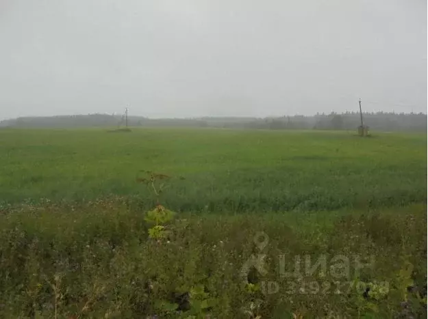 Участок в Московская область, Дмитровский муниципальный округ, с. ... - Фото 0