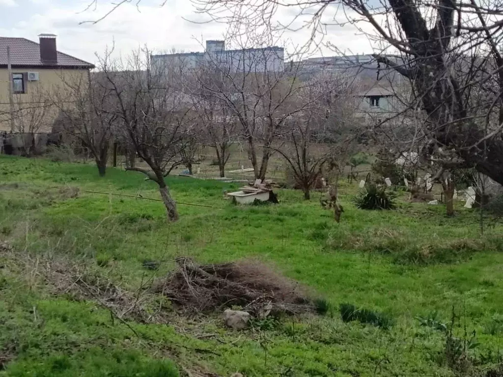 Участок в Ростовская область, Белокалитвинское городское поселение, ... - Фото 1