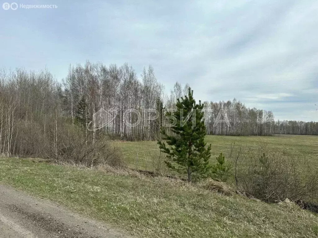Участок в Тюменский район, деревня Головина (30 м) - Фото 1