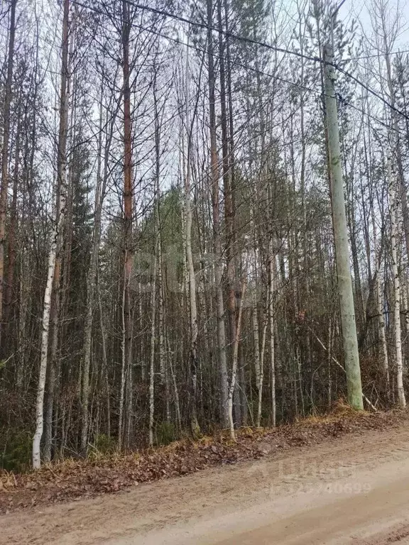Участок в Коми, Сыктывкар городской округ, Верхняя Максаковка пгт ул. ... - Фото 1