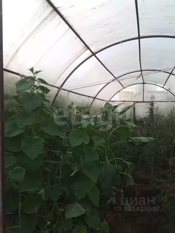 Дом в Тюменская область, Тюмень Лаванда садовое товарищество, ул. 14-я ... - Фото 1