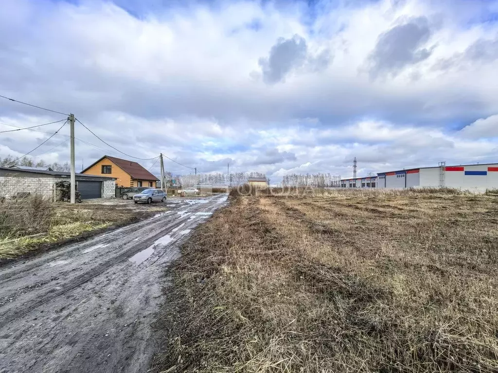 Участок в Новосибирская область, Новосибирский район, Станционный ... - Фото 0