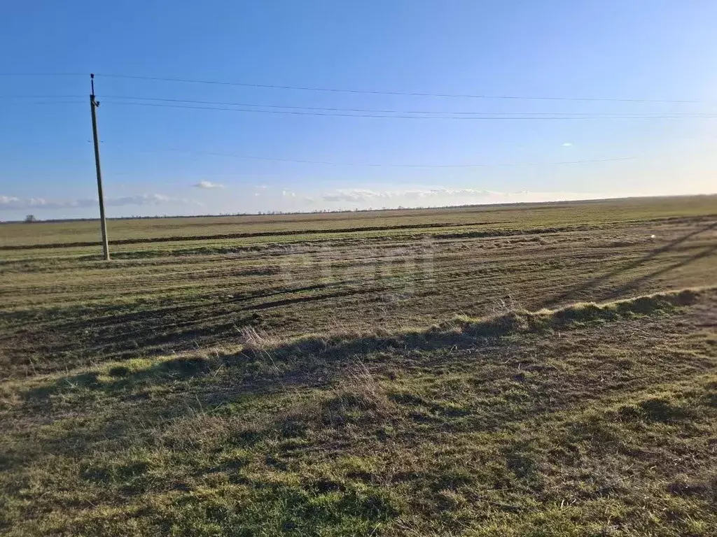 Участок в Крым, Ленинский район, с. Луговое ул. Луговская (793.9 сот.) - Фото 2