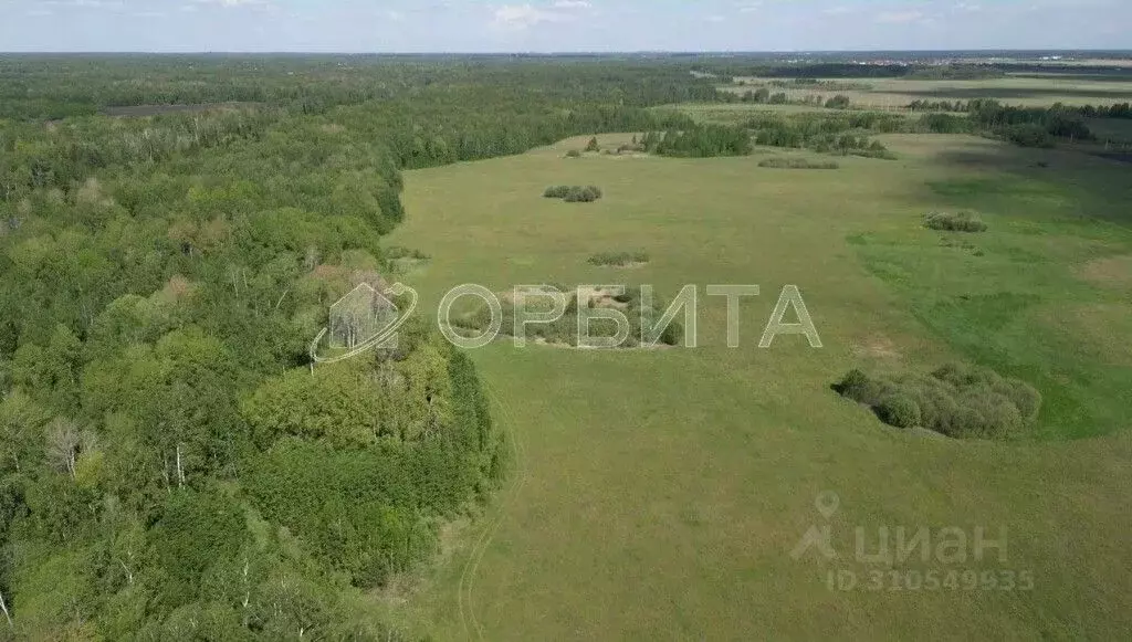 Участок в Тюменская область, Тюменский район, д. Елань  (6.77 сот.) - Фото 1