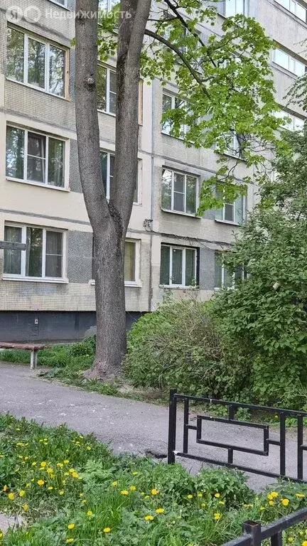 1-комнатная квартира: Санкт-Петербург, Белградская улица, 28к1 (30 м) - Фото 2