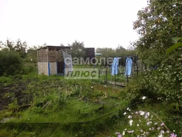 Участок в Челябинская область, Челябинск пл. Революции (6.0 сот.) - Фото 2