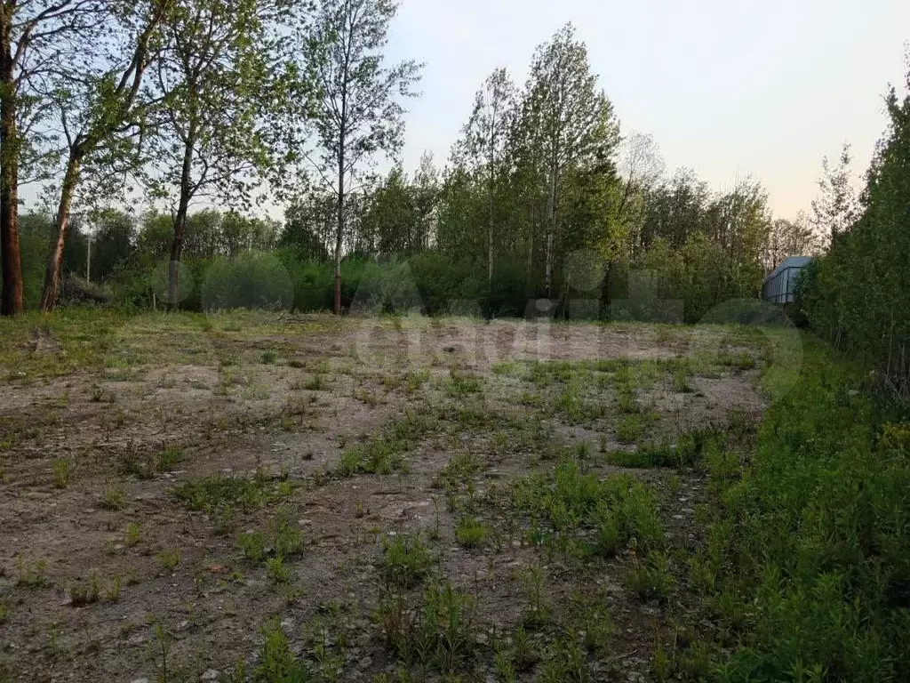 Участок 8 га (ИЖС) - Фото 1