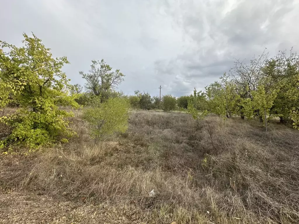 Участок в Крым, Симферопольский район, Перовское с/пос, Мрия СНТ ул. ... - Фото 2
