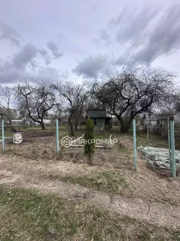 Участок в Брянская область, Брянск Мичуринец садовое общество, 298 ... - Фото 1