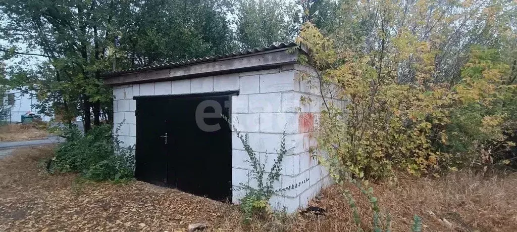 Помещение свободного назначения в Белгородская область, Вейделевка рп ... - Фото 1