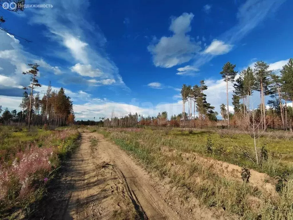 Участок в Читинский район, село Смоленка (40 м) - Фото 1