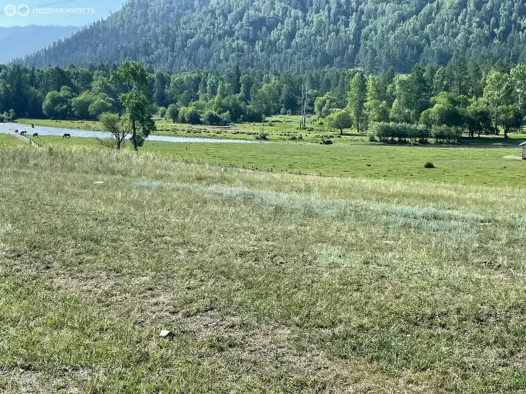 Участок в Республика Алтай, село Онгудай (15 м) - Фото 2