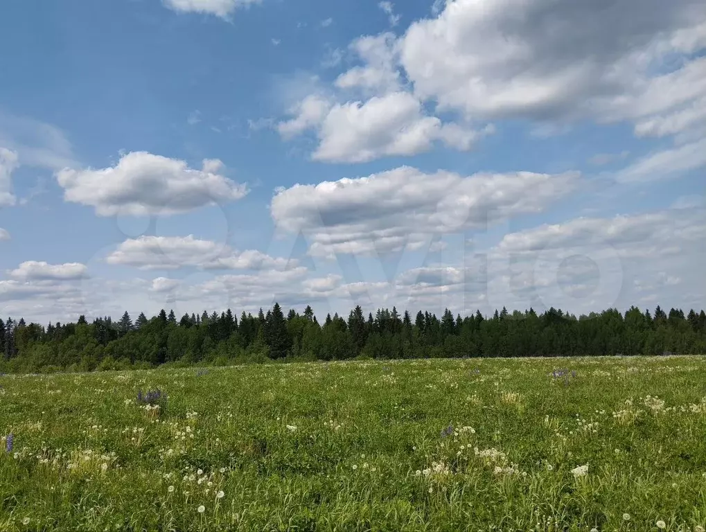 Участок 4,2 га (СНТ, ДНП) - Фото 0