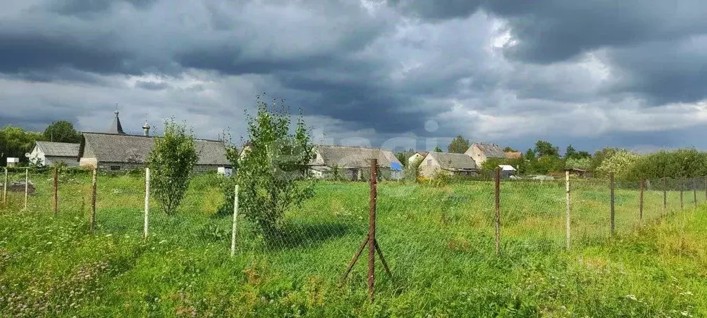 Участок в Калининградская область, Черняховский муниципальный округ, ... - Фото 1