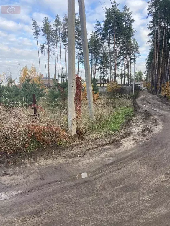 Участок в Воронежская область, Рамонский район, д. Новоподклетное ул. ... - Фото 0