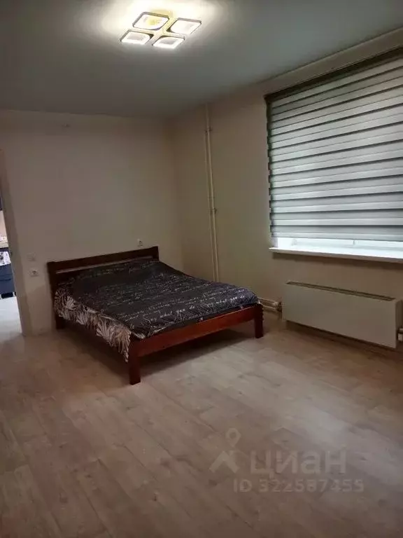 1-к кв. Нижегородская область, Нижний Новгород просп. ... - Фото 1