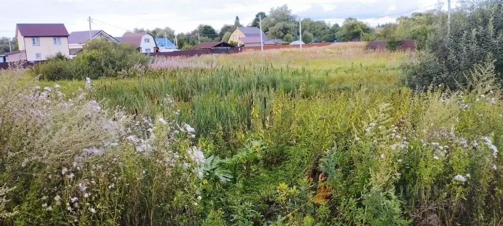 Участок в Московская область, Можайский муниципальный округ, с. ДНП ... - Фото 1