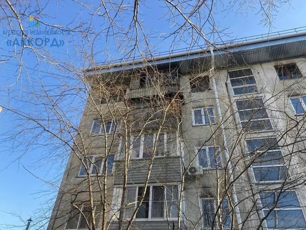 3-к кв. Алтайский край, Бийск ул. Михаила Митрофанова, 25/1 (49.6 м) - Фото 1