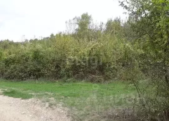 Участок в Краснодарский край, Геленджик городской округ, с. Адербиевка ... - Фото 1