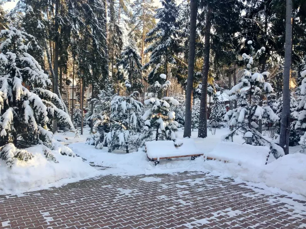 Дом в Московская область, Одинцовский городской округ, пос. Николина ... - Фото 1