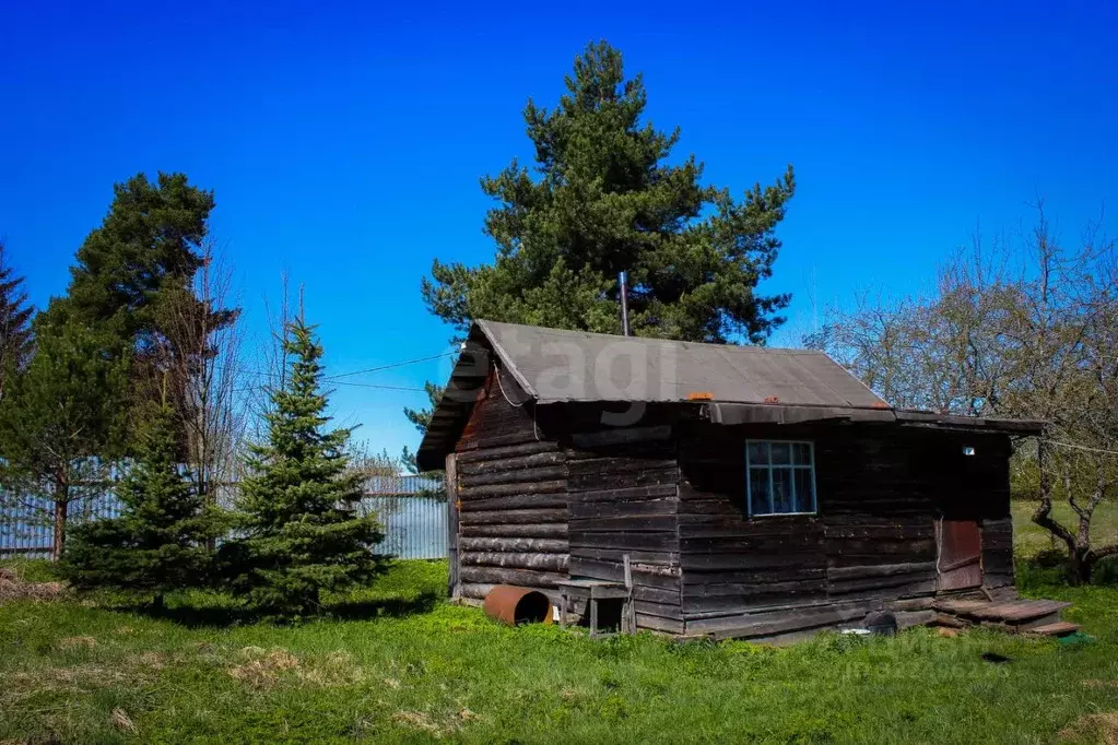 Дом в Вологодская область, д. Селезенцево 2 (31 м) - Фото 2